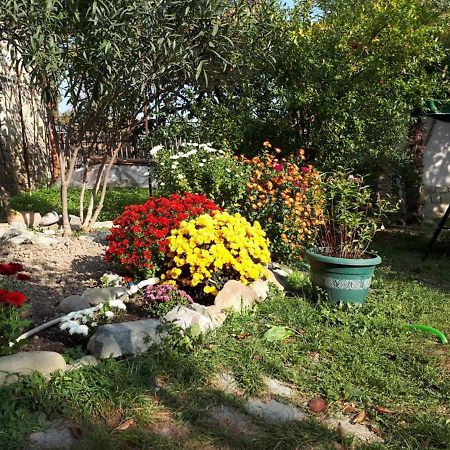 Old House Apartment With Garden Area Мцхета Экстерьер фото
