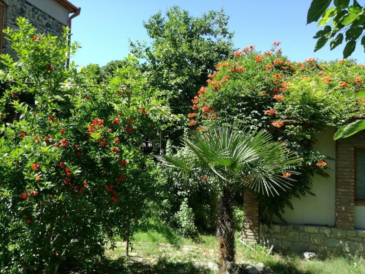 Old House Apartment With Garden Area Мцхета Экстерьер фото